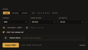 The Export Audio window